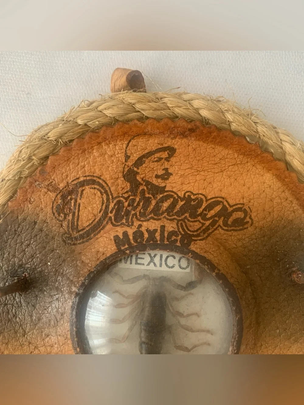 Durango Mexico Real Scorpion Wall Hanger Plaque Key Holder Rope Leather Souvenir